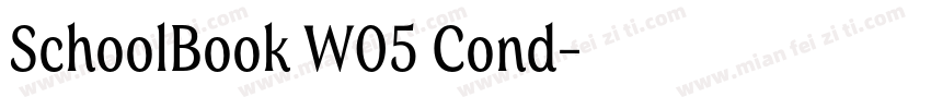 SchoolBook W05 Cond字体转换